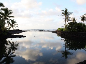 HAWAII VISION CLINIC